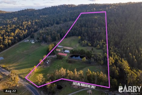 464 Long Plains Rd, Bridgenorth, TAS 7277