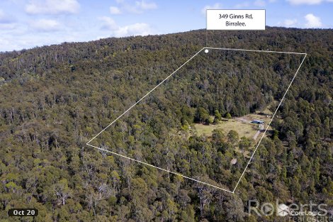 349 Ginns Rd, Birralee, TAS 7303