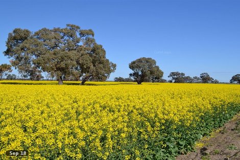 663 Kerang-Quambatook Rd, Wandella, VIC 3579