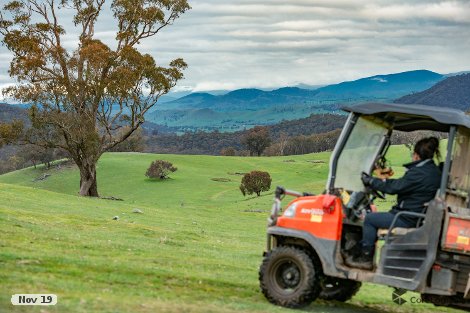 110 Tumbarumba Creek Rd, Burra, NSW 2653