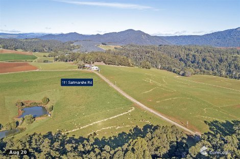 111 Saltmarshs Rd, North Motton, TAS 7315