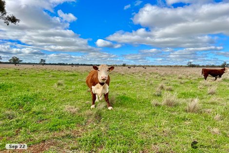 1352 Tuggerabach Rd, Tullibigeal, NSW 2669