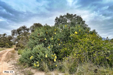 Lot 6 Chester Pass Rd, Amelup, WA 6338