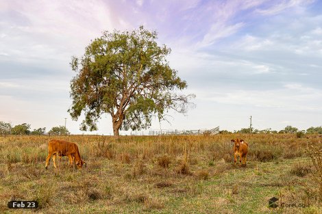 292 Ted Mengel Rd, Nobby, QLD 4360