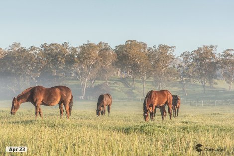 530 Timor Rd, Blandford, NSW 2338