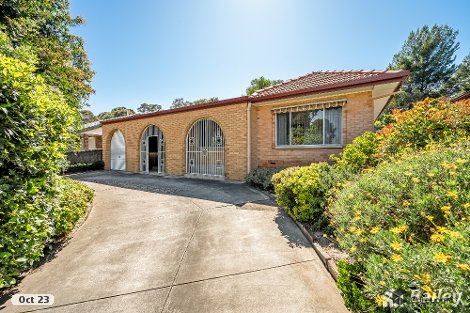 251 Hancock Rd, Banksia Park, SA 5091