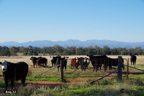 791 Mayfield Rd, Baan Baa, NSW 2390