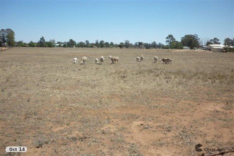 73 Quealeys Lane, Gilgandra, NSW 2827