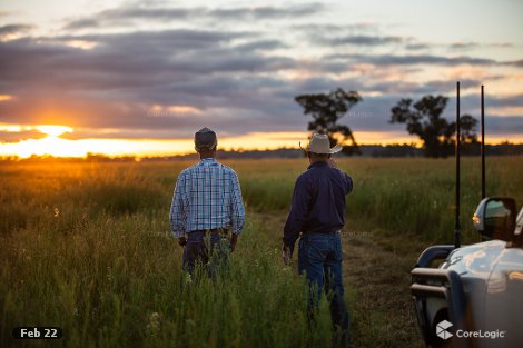 694 Lochnaw Rd, Binnaway, NSW 2395