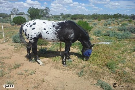 Lot 6679 Racecourse Rd, Menindee, NSW 2879