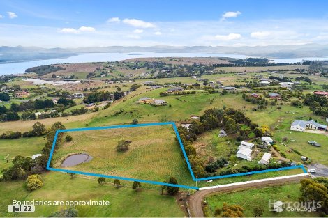 20 Riverdown Ct, Forcett, TAS 7173