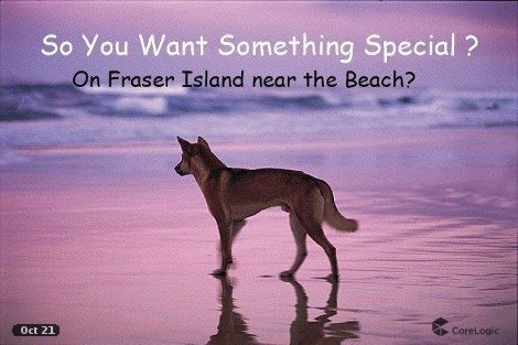 615 Kingfisher Bay Rd, Fraser Island, QLD 4581
