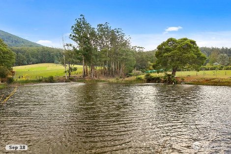 175 Hazelwood Rd, East Warburton, VIC 3799