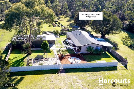 380 Badger Head Rd, Badger Head, TAS 7270