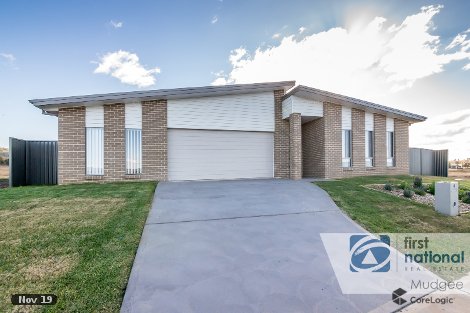 16 Hone Creek Dr, Caerleon, NSW 2850