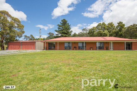 95 Craythorne Rd, Rosevears, TAS 7277