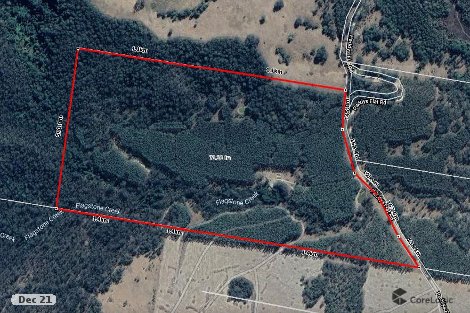 4609 Paddys Flat Rd, Upper Tooloom, NSW 2475