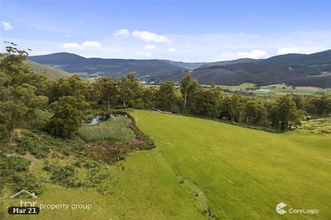 100 Lightwood Creek Rd, Glen Huon, TAS 7109