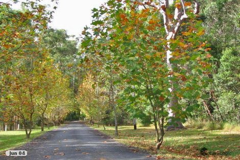 7 Yowie Cl, Bensville, NSW 2251