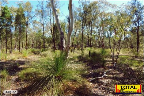 Lot 35 Millmerran Woods Dr, Millmerran Woods, QLD 4357