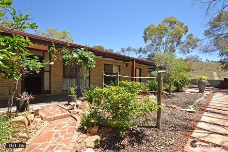 19 Murray St, Larapinta, NT 0875