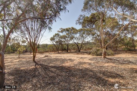 891 Hunt Rd, Loveday, SA 5345