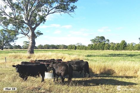 Lot 42 Rocky Castle Rd, Coonawarra, SA 5263