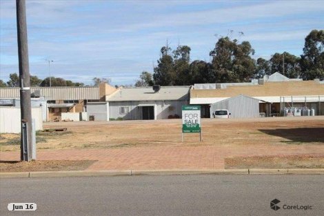 8 Elphin Cres, Wongan Hills, WA 6603