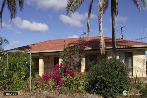 81 Coates Rd, Loveday, SA 5345