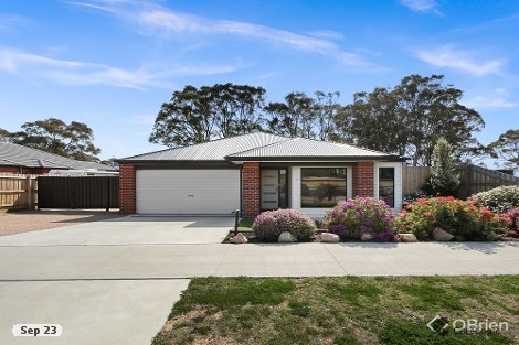 17 Houghton Cres, Eagle Point, VIC 3878