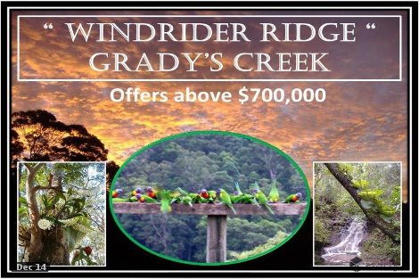 741 Gradys Creek Rd, Gradys Creek, NSW 2474
