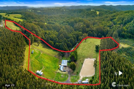 1010 Skenes Creek Rd, Tanybryn, VIC 3249