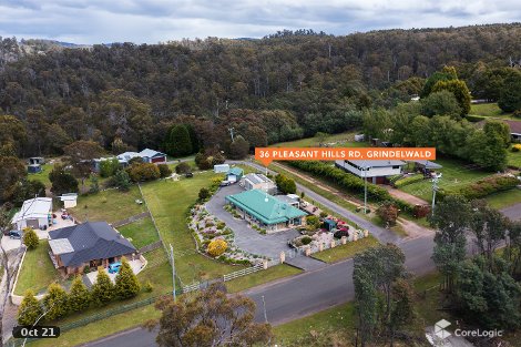 36 Pleasant Hills Dr, Grindelwald, TAS 7277