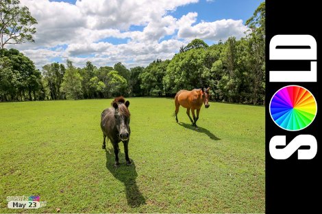 37 Grecian Bends Rd, Greens Creek, QLD 4570