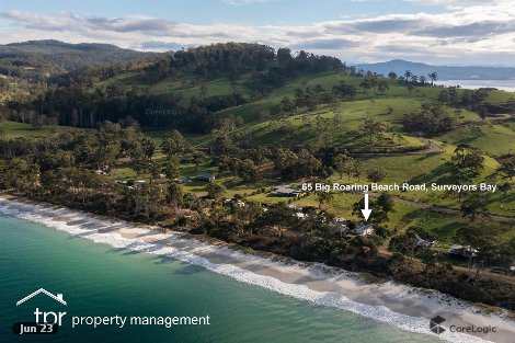 65 Big Roaring Beach Rd, Surveyors Bay, TAS 7116