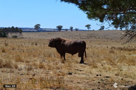 91 Covan Creek Rd, Lake Bathurst, NSW 2580