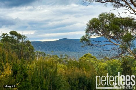 19 Rosedale Rd, Bicheno, TAS 7215