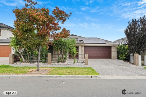 61 Rapid Ave, Lightsview, SA 5085