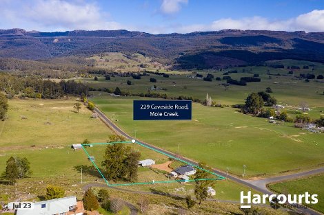 229 Caveside Rd, Mole Creek, TAS 7304