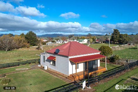 49 Winnaleah Rd, Winnaleah, TAS 7265