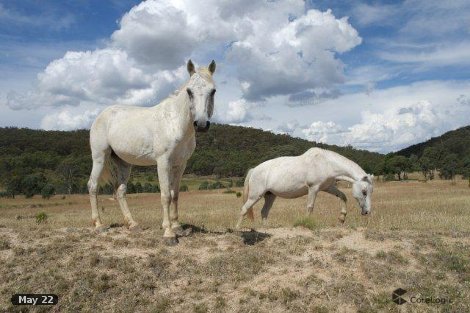 1496 Middle Arm Rd, Middle Arm, NSW 2580