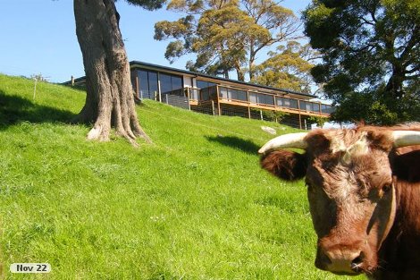 590 Natone Rd, Natone, TAS 7321