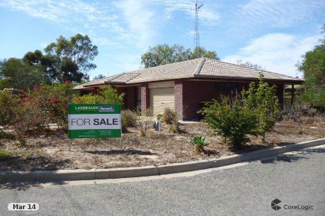 12 Needs Rd, Lameroo, SA 5302