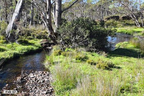 Lot 1 Cradle Mountain Rd, Moina, TAS 7310