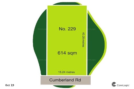 229 Cumberland Rd, Auburn, NSW 2144