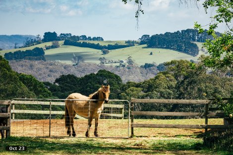 77 Kia-Ora Lane, Kangaloon, NSW 2576