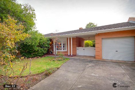 2 Newcastle St, Heathpool, SA 5068