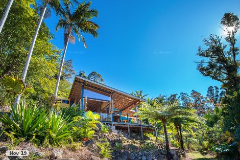 443 Upper Wilsons Creek Rd, Upper Wilsons Creek, NSW 2482