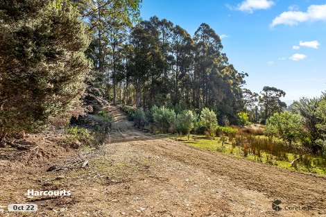 700 Halls Track Rd, Pelverata, TAS 7150