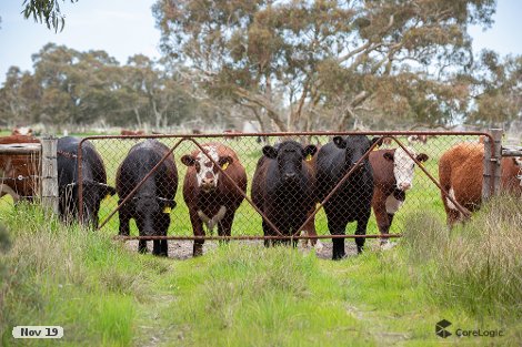 1979 Old Robe Rd, Conmurra, SA 5272